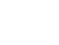 Cynergy Cargo LLC logo